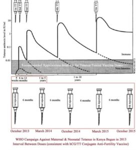 Schaubild von Tetanus- und Unfruchtbarkeits-Impfung