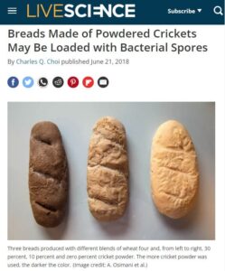 Drei Brote, zwei davon von links gesehen mit Grillenpulver versetzt