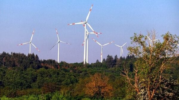 Die Zerstörung des deutschen Waldes: Windräder, die zur Zerstörung des Waldes beitragen